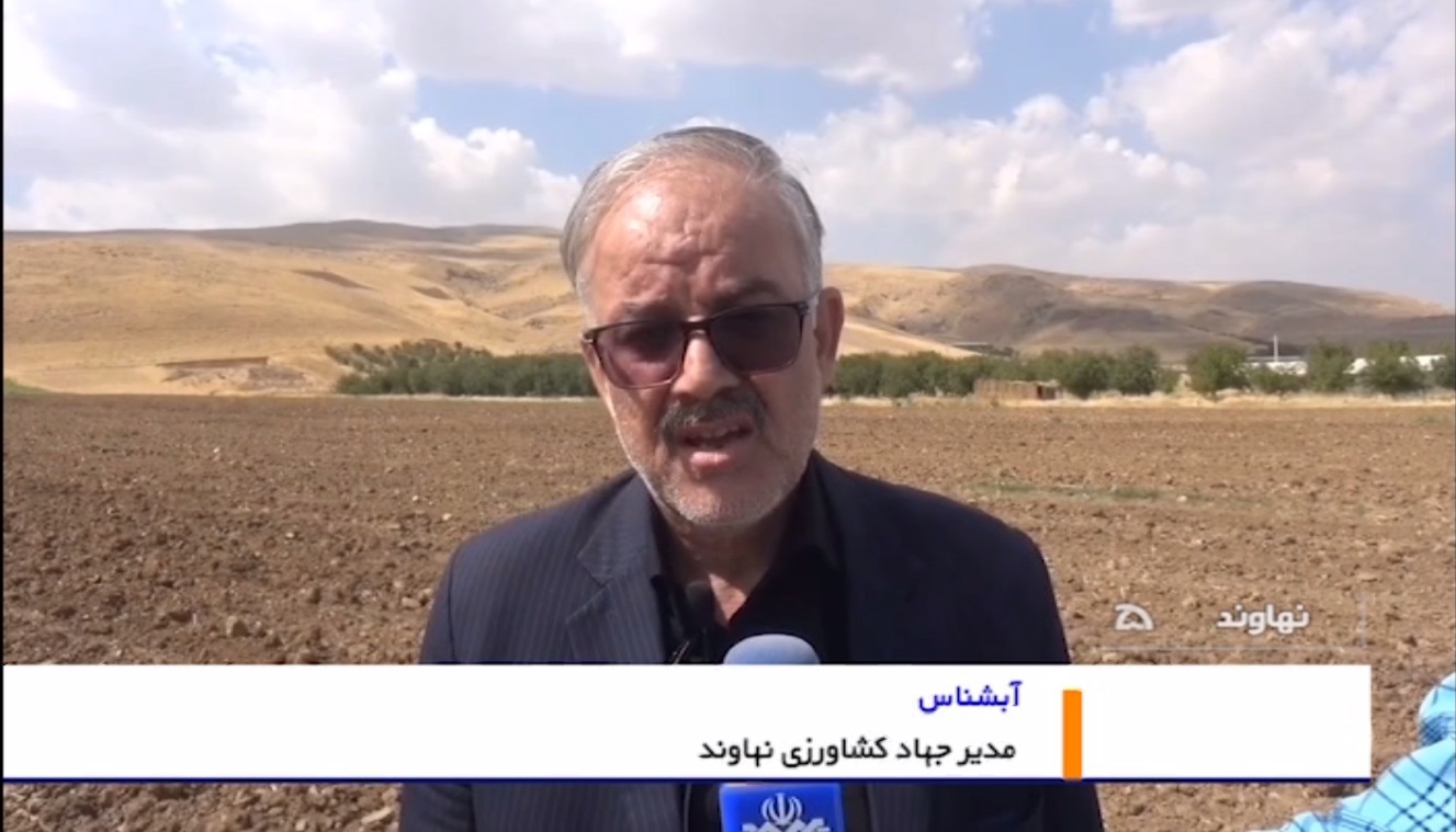 پیش بینی برداشت بیش از ۴ هزار تن کلزا در نهاوند