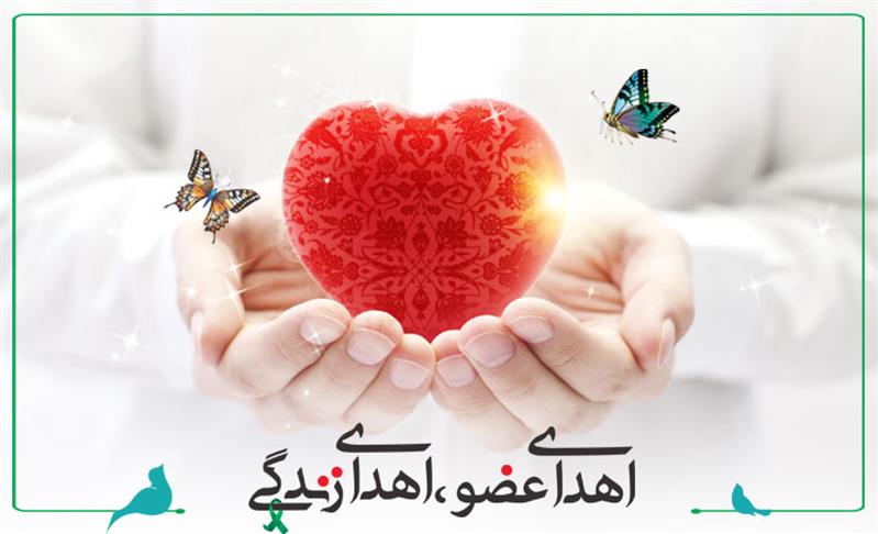 جان آفرینی، هدیه خادم امام رئوف به ۶ نفر